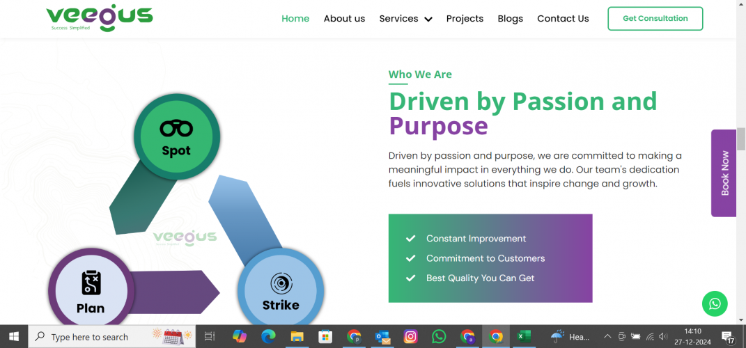 Veegus | Web Development screenshot 2