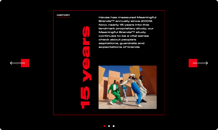 Elevating Meaningful Brands (Havas) with advanced web development screenshot 2
