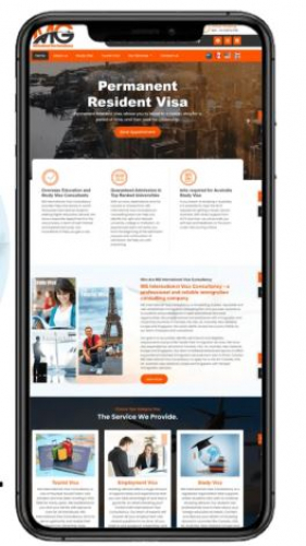 MG International Visa screenshot 1