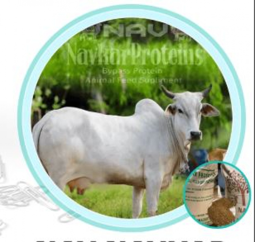 Nav Navkar Protiens screenshot 2