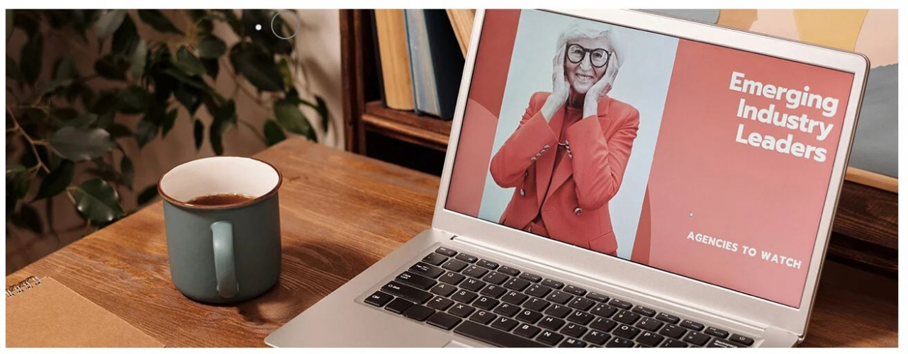 Lionpro - Agency screenshot 2