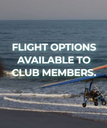 The Flying Club screenshot 2