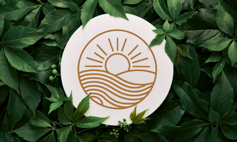 Brand Design for Solstice Studios screenshot 5