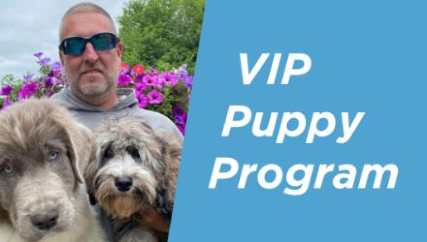 CS Lewis Festival screenshot 1