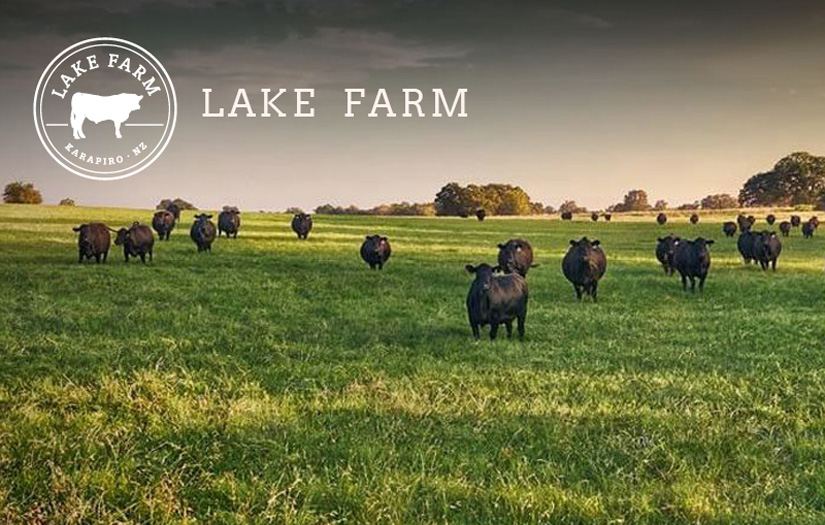 Lake Farm screenshot 1