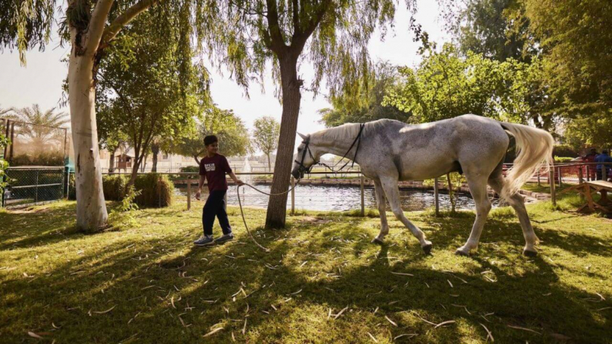 The Sustainable City on YAS Island screenshot 1