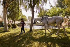 The Sustainable City on YAS Island