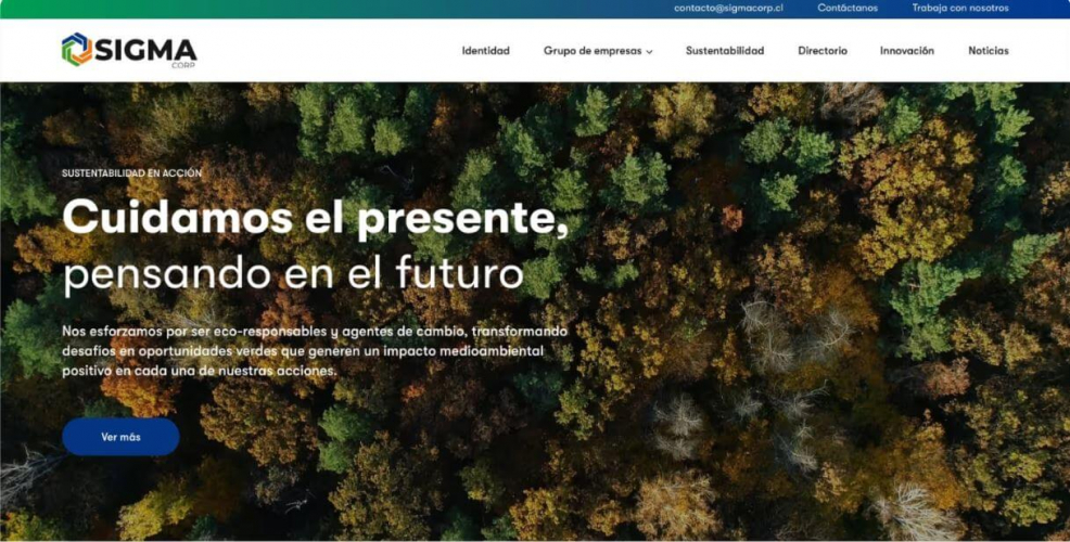 SIGMA CORP screenshot 2