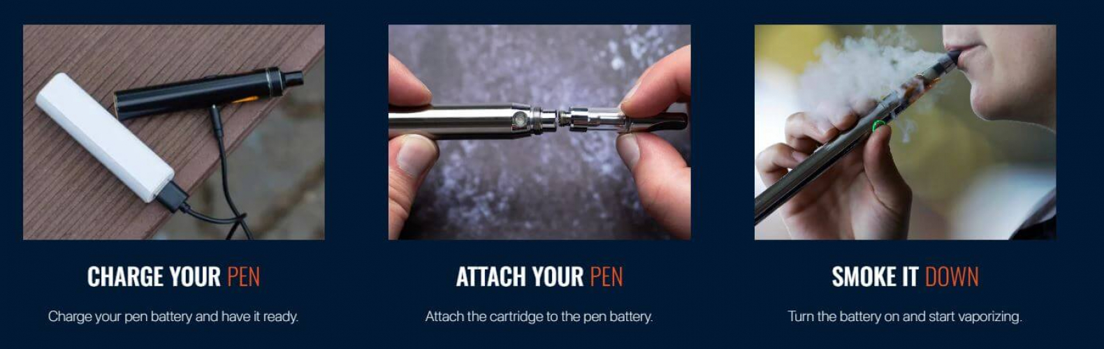 BLUE DEN screenshot 2