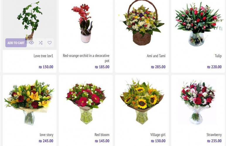 Aley Koteret screenshot 1