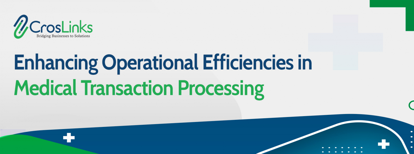 Enhancing Operational Efficiencies in Medical Transaction Processing screenshot 1