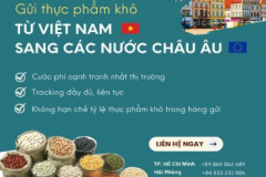 Viet Brite International Shipping Service