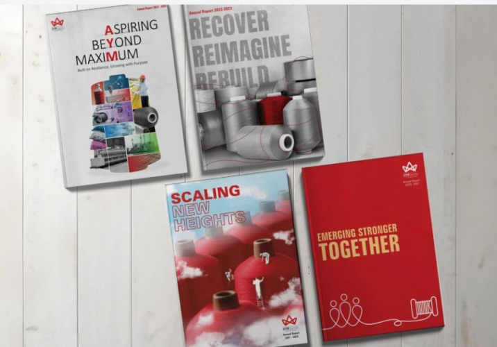 AYM Syntex – Annual Reports screenshot 2