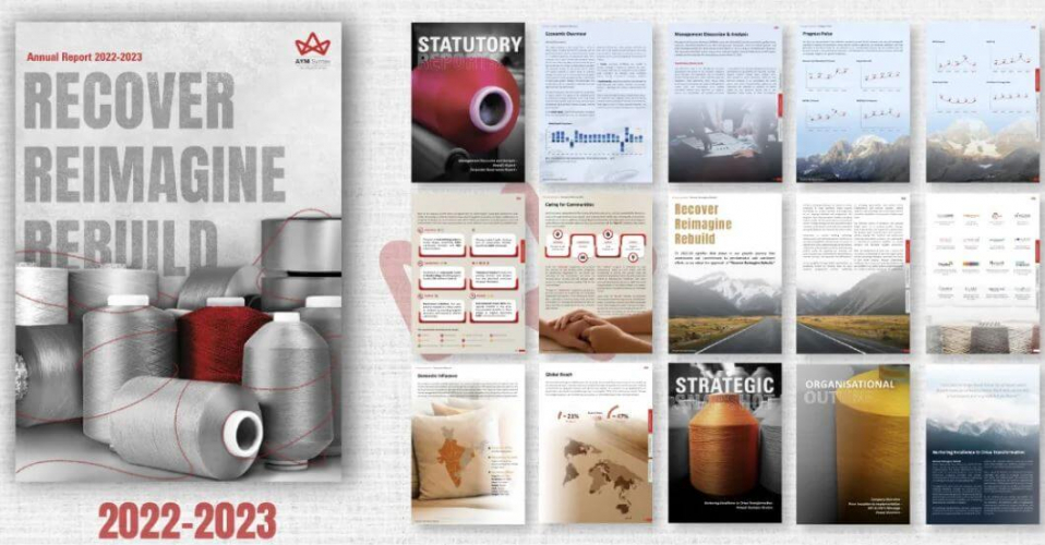 AYM Syntex – Annual Reports screenshot 1