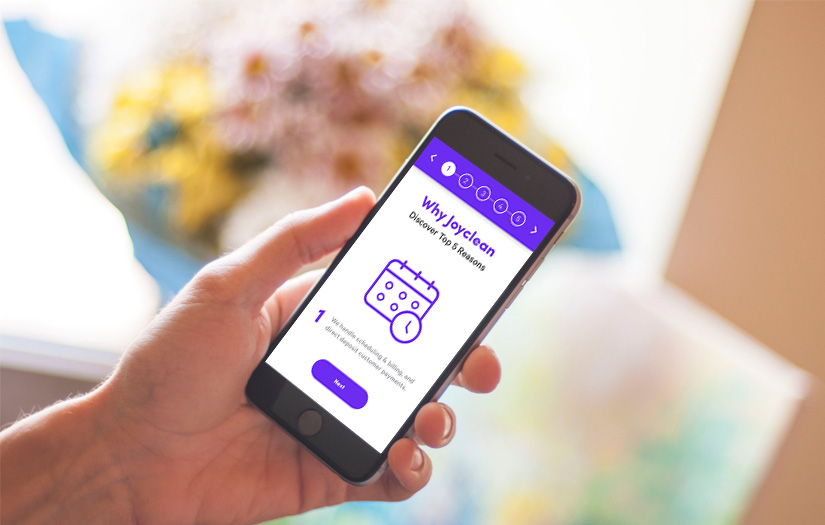 Joyclean screenshot 1