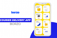 Borzo Delivery Partner Job