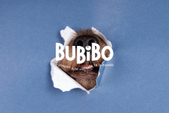 BuBiBo