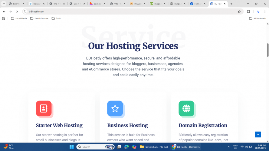 BD Hostly screenshot 2