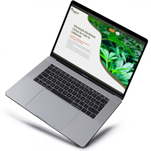 WordPress Development, Copywriting, and SEO for Homegrown Nursery screenshot 2