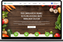 SEO and WordPress Development for Shapiro