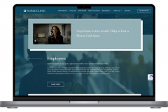 SEO, WordPress Development, and SMM for WorldClinic