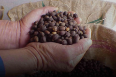 Al Fanoos International ltd