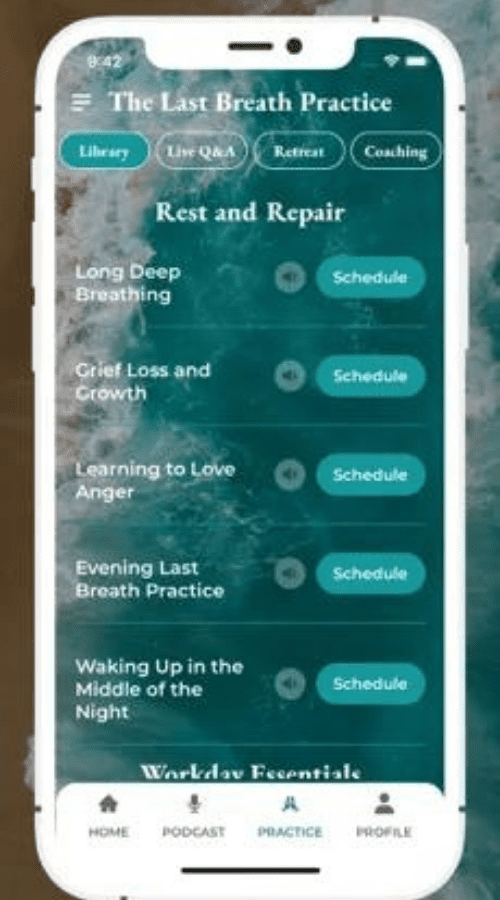 Tej Khalsa screenshot 1