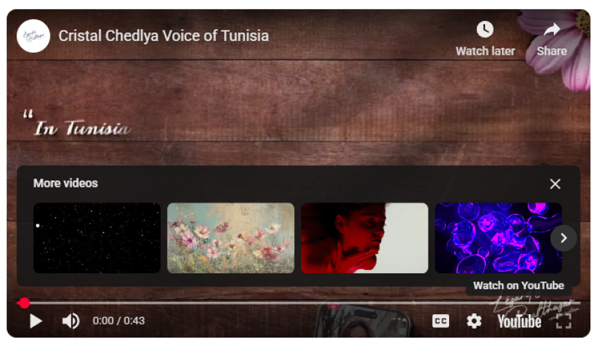 Chedlya: AI-Powered Virtual Influencer – Cristal La Brosse Campaign screenshot 1