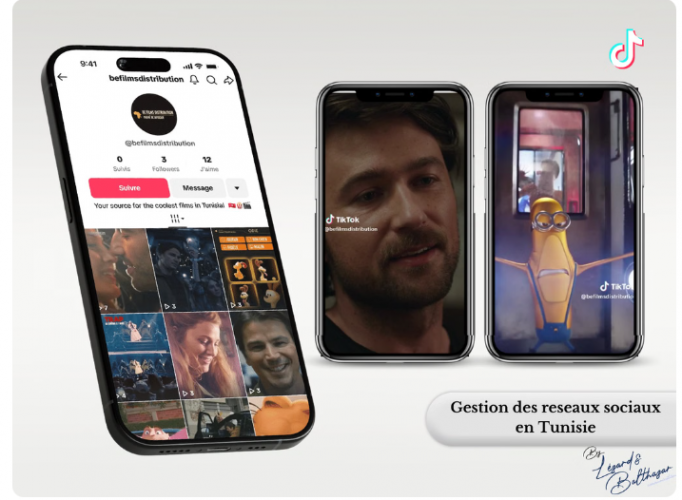 Pathé BC Africa – Multi-Film Marketing Campaigns in Tunisia screenshot 3