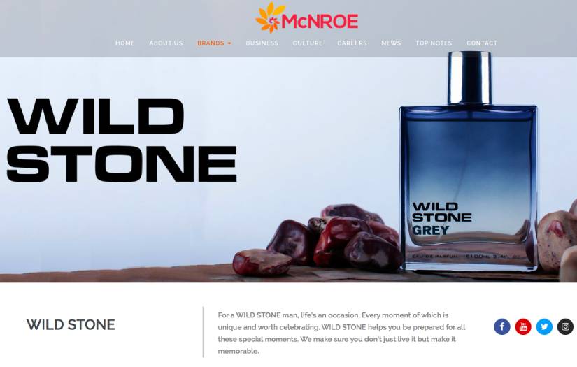 Website Development screenshot 1