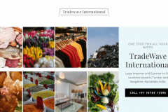 Tradewave International Business Website
