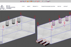 Bulk Packaging Liners Pvt Ltd Business Website