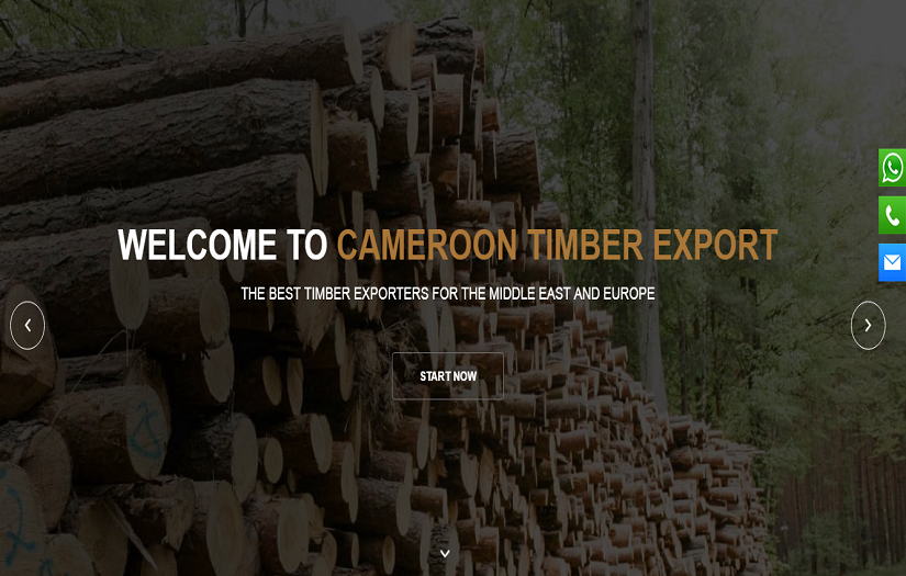 CAMEROON TIMBER EXPORT screenshot 1