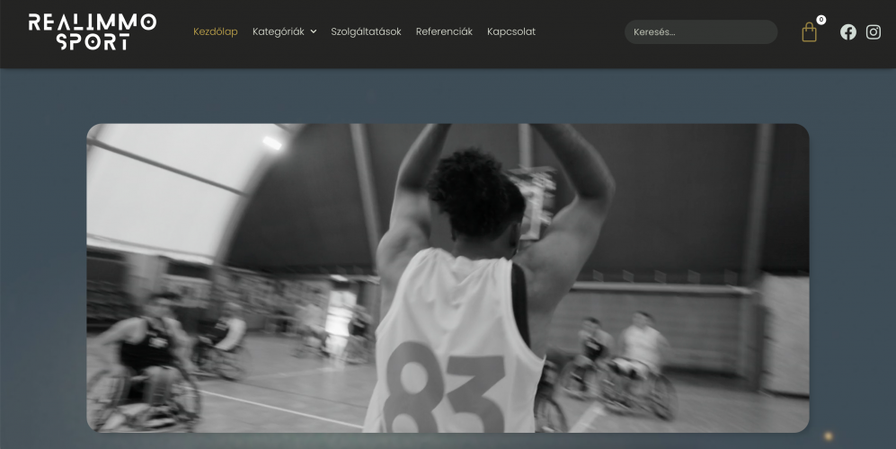 Real Immo Website screenshot 1