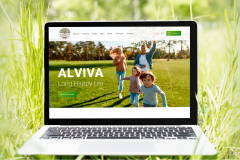 Business website for Alviva