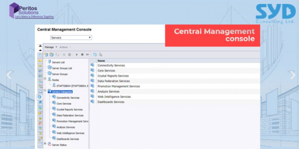 SAP Support Services-CPI integration for SYD Consulting screenshot 2