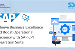 SAP Support Services-CPI integration for SYD Consulting