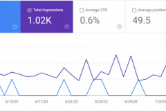 Initial SEO optimization of the website