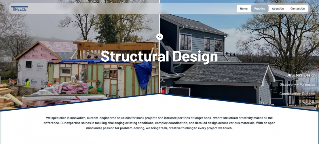 Dynamic website development screenshot 2