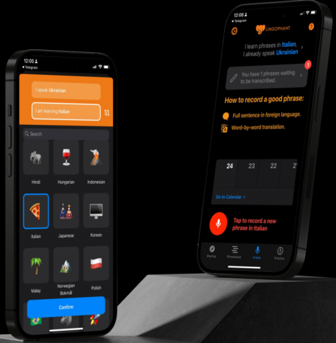 Lingophant screenshot 1