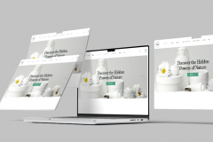 Vanilla Musk Co. – Online Store Transformation