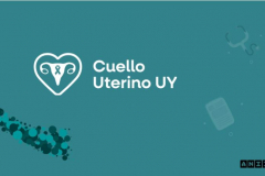 HPV UY