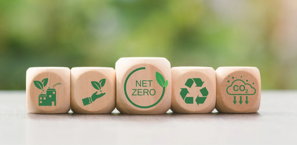 Eco-Friendly Products screenshot 1