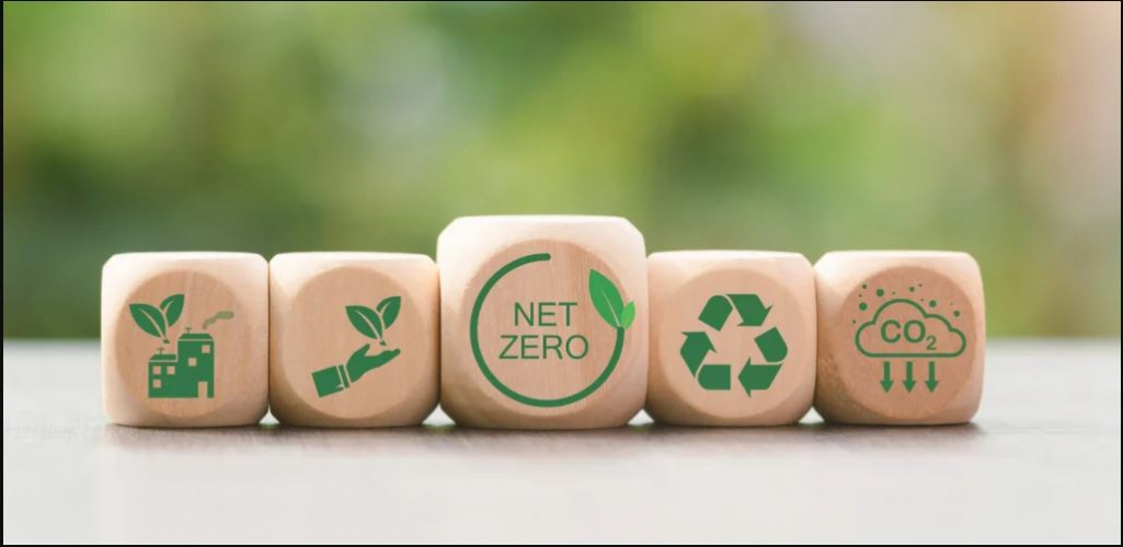 Eco-Friendly Products screenshot 1