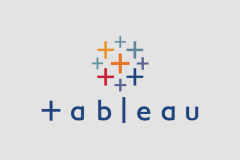 Client-Partner Case Study: Tableau