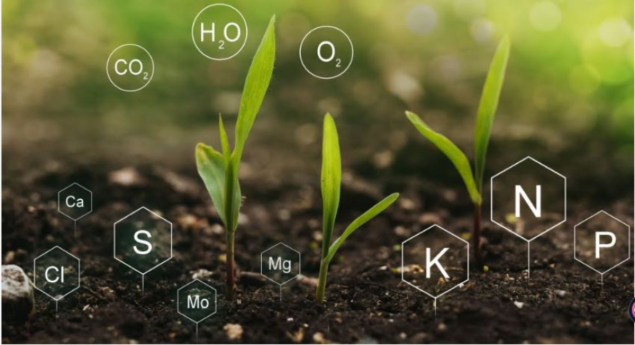  Smart Soil Data Drives Sales screenshot 1