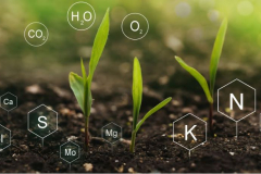  Smart Soil Data Drives Sales