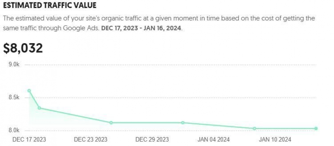 VedraDental.COM: 11K organic clicks from Google per month screenshot 1