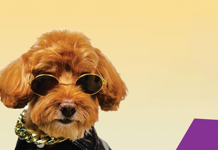 Wow! You’re still in time screenshot 1