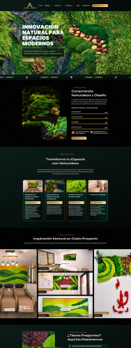 Proiect "Anaga Decor" screenshot 1